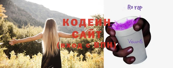 молекула духа Белоозёрский